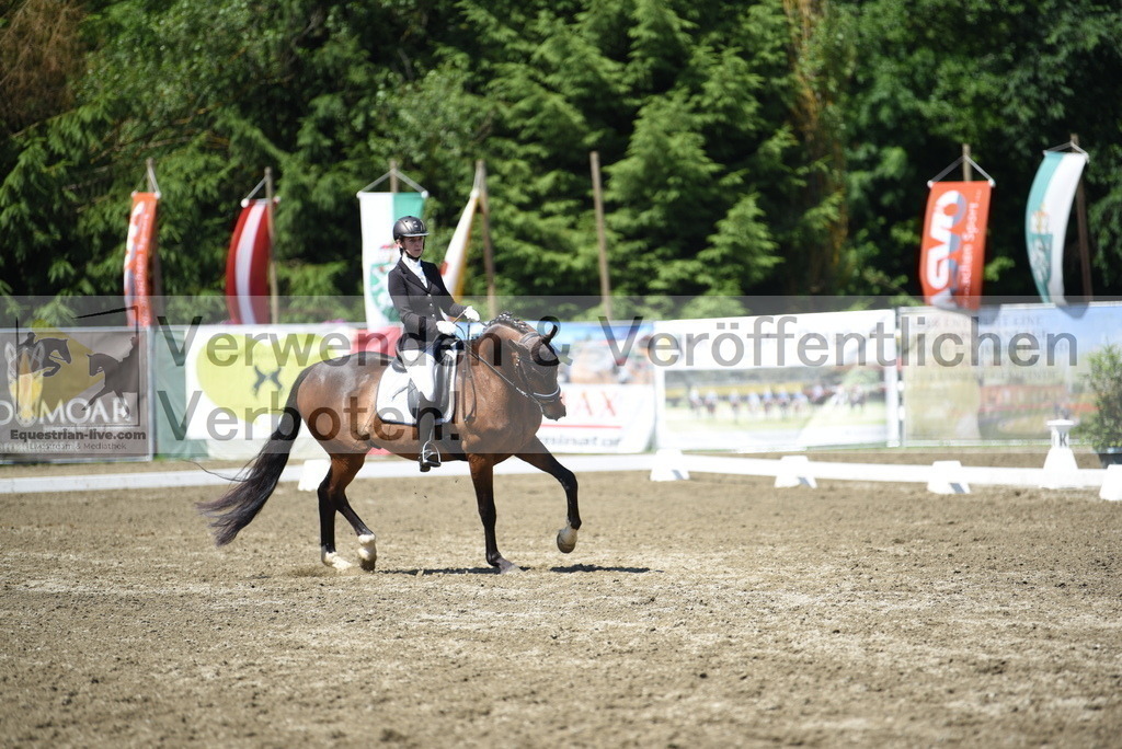 DSC_0326 | equestrian-live-com