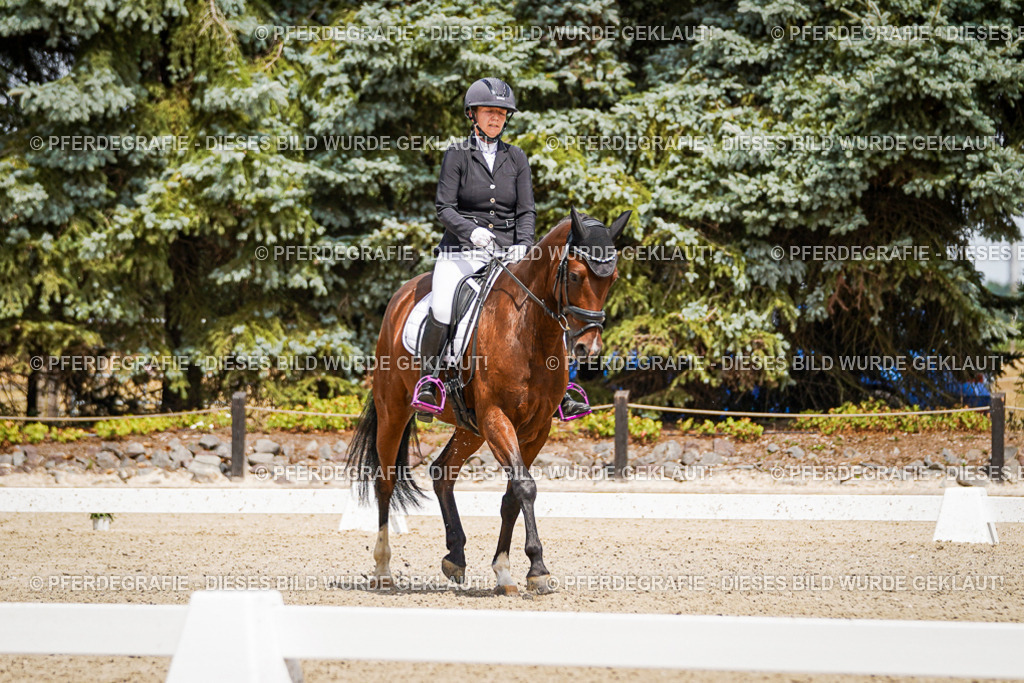 DSC02498 | Pferdegrafie