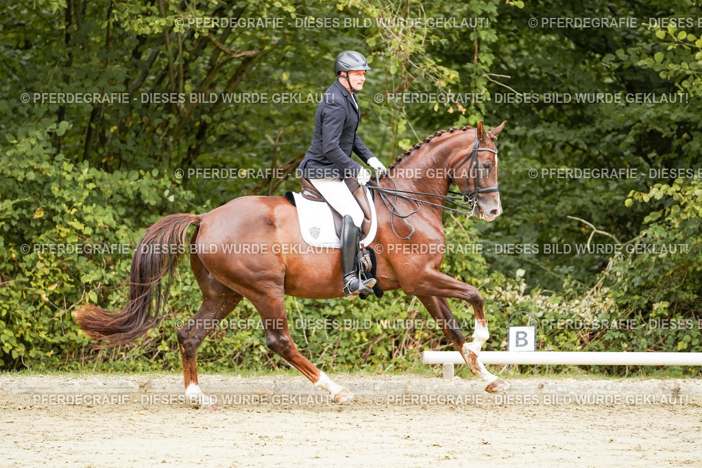 DSC03768 | Pferdegrafie