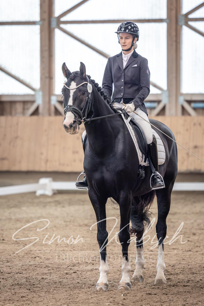 20251011-_3LI9358 | Tierfotografie Pferde, Hunde, Katzen, Haustiere.
Turnierfotografie Reitturniere, Reiten, Springreiten, Dressur in Hanau, dem Main-Kinzig-Kreis und dem Rhein-Main- Gebiet um Frankfurt