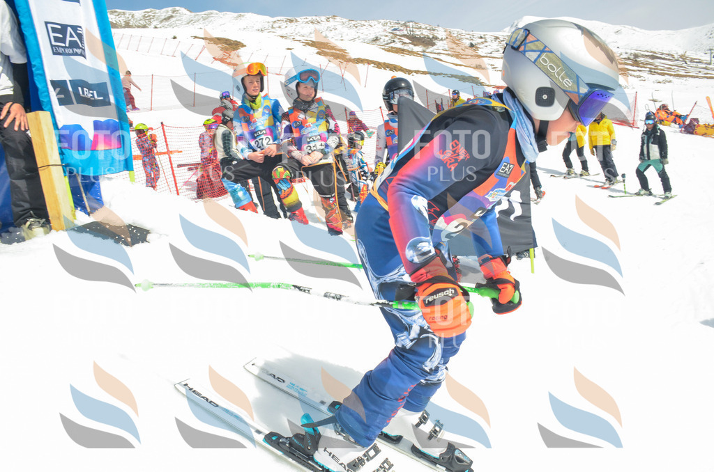 _ELE7037 | holidayphoto