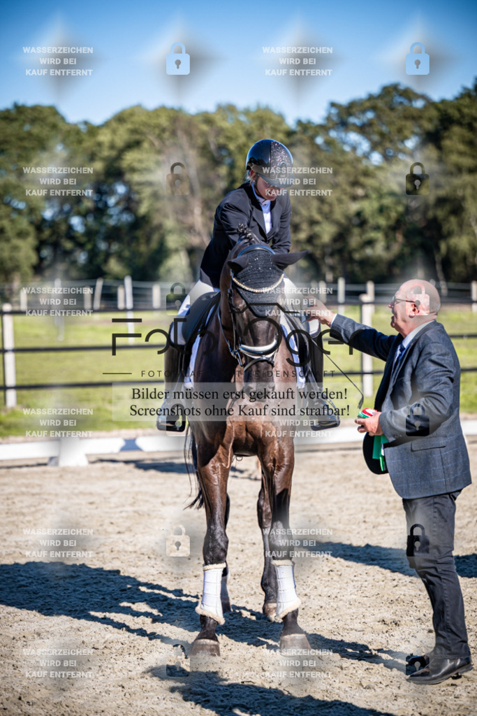 2026-09-Lohne-11-0013 | Entdecke hochwertige Reitturnierfotos von Foto Oger. Professionell, emotional und authentisch – jetzt Lieblingsmomente im Shop bestellen.Deutschlandweite Turnierfotografie. - Realisiert mit Pictrs.com
