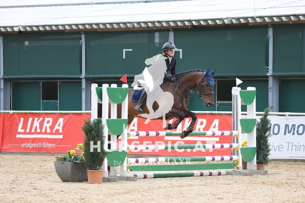 0P6A3051 | Willkommen bei Brunnmayr - Design & Fotografie – Ihrem Spezialisten für Reitturniere und Pferdeveranstaltungen in Oberösterreich, Salzburg und Bayern! Seit über 17 Jahren sind wir leidenschaftlich dabei.