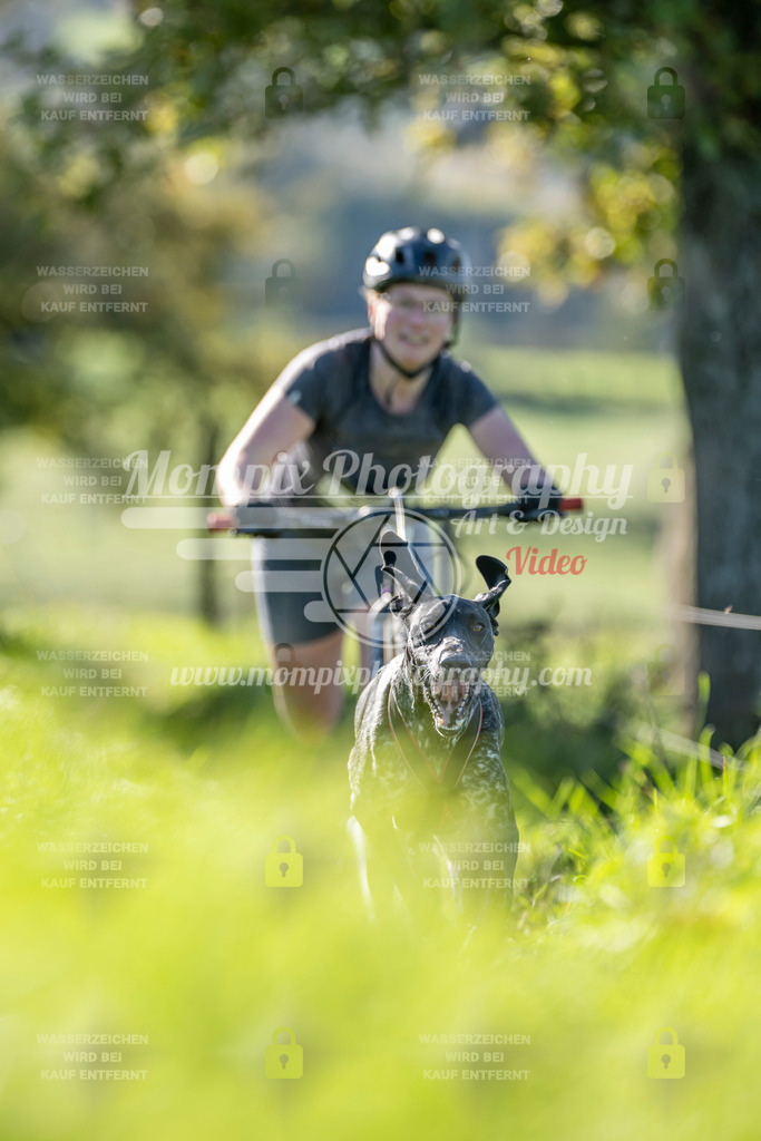 MompixPhotography_20TSB_E3_DS1-34 | PayLife