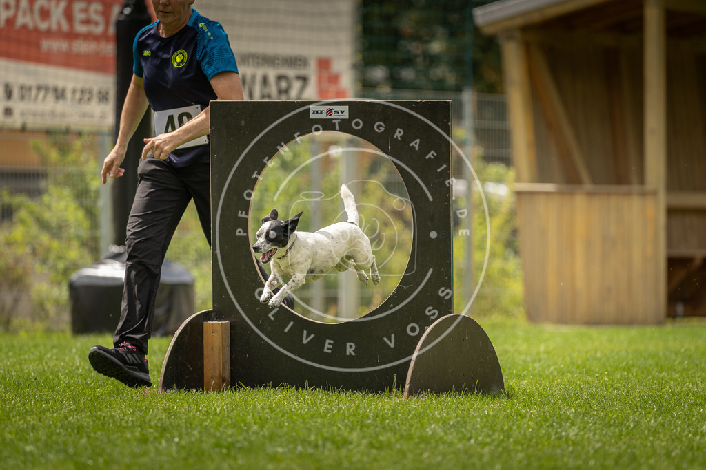 Pfotenfotografie_DV3A3748 | Hundefotografie, Tierfotograf, Pfotenfotografie, Fotoshooting Hund, Hunde Portrait, Hundesport, Hundeportraits, Heideshooting, Hunde, Sportfotograf, Hundefotograf, Turnierhundsport, THS,  - Realisiert mit Pictrs.com