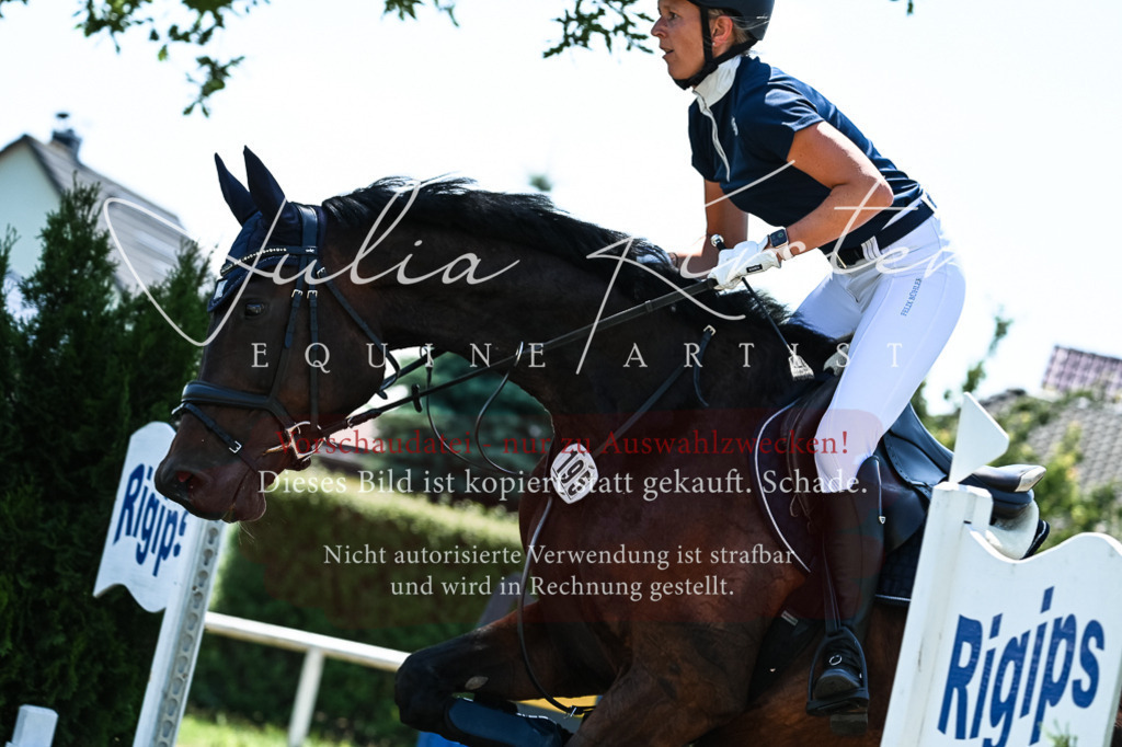 DSC_0099 | Pferde- und Turnierfotografie in Westsachsen. Pferdeportraits, Auftragszeichnungen und intuitive Kunst.