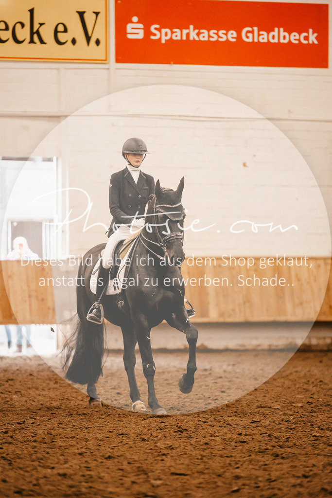 3I6A2504 | Stimmungsvolle Portraits und Reitsportfotografie im Ruhrgebiet und im Münsterland.

Pferdefotografie, Hundefotografie, Tierfotografie, Reportagen, Portraits von Tier und Mensch, Turnierfotografie in Bochum, Recklinghausen, Marl, Haltern am See, Dülmen.. - Realisiert mit Pictrs.com
