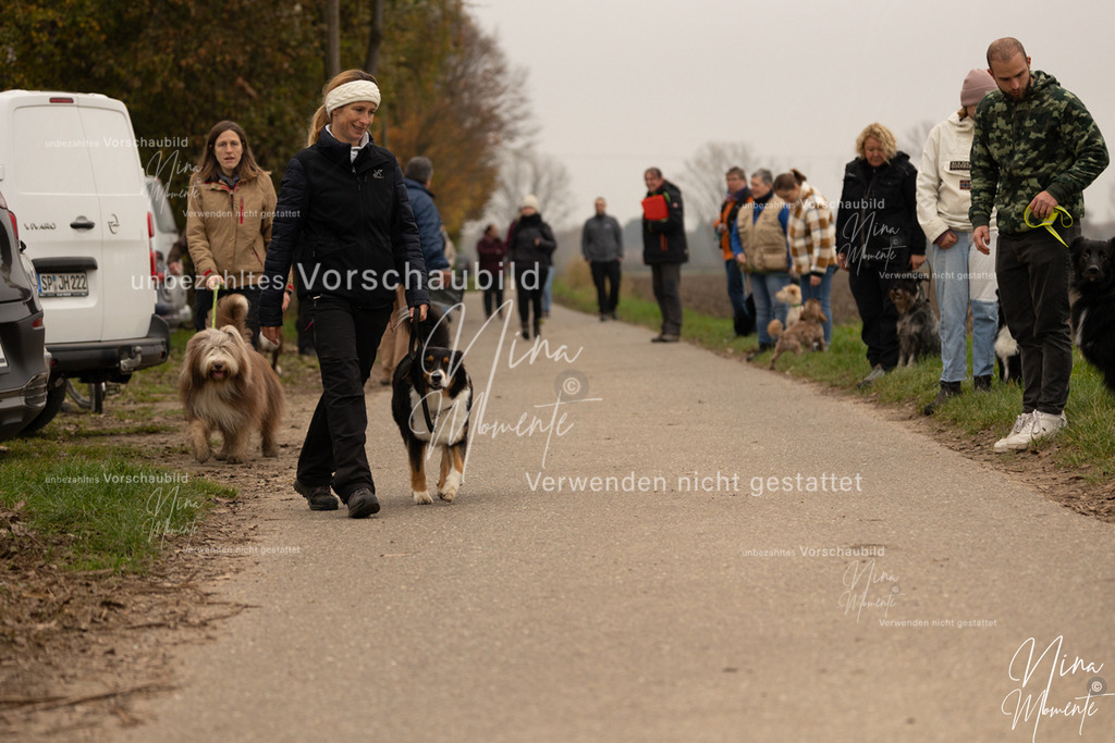 _16A0694 | Einzigartige Fotos von Hunden & Menschen –Actionfotos, Portraits, Vereinsaufnahmen & Paarshootings – authentisch, lebendig & mit Herz.