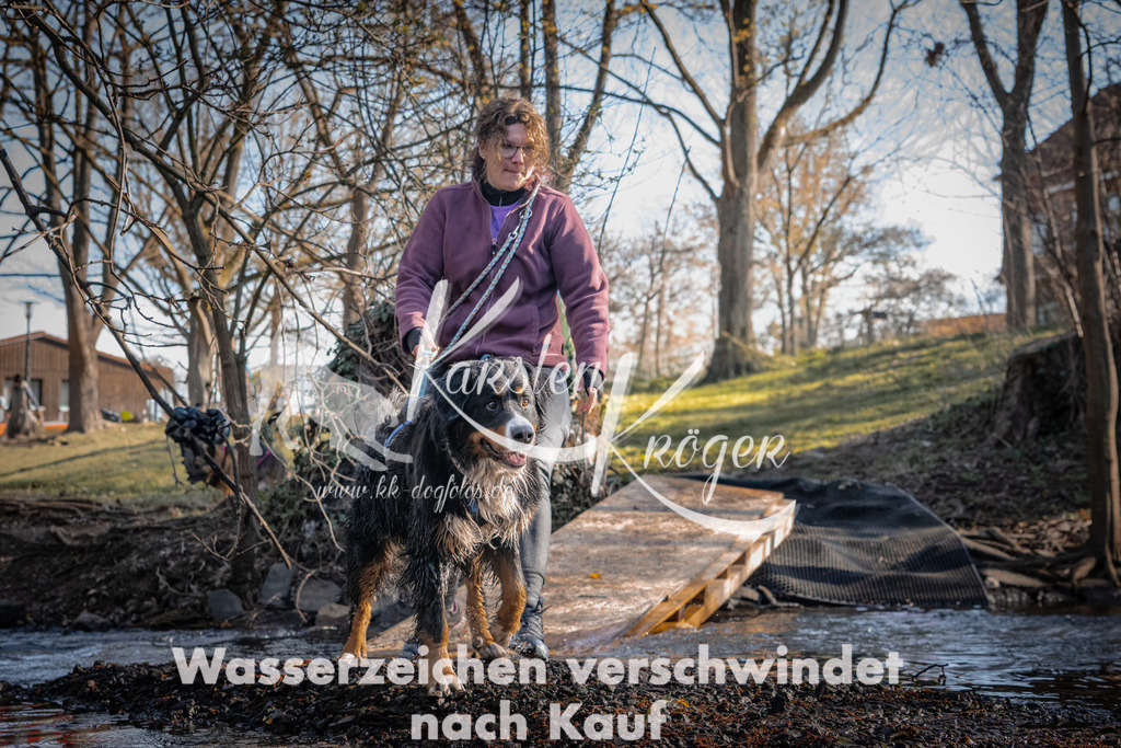 0827_ZZ90786 | kk-dogfotos