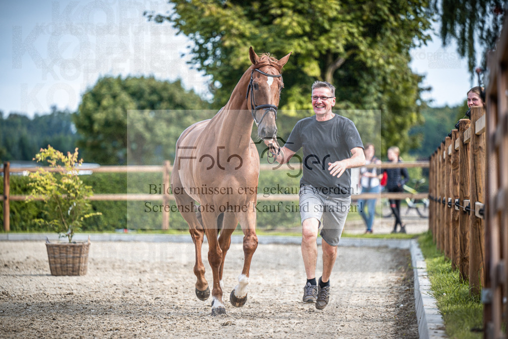 DOS_1634 | Entdecke hochwertige Reitturnierfotos von Foto Oger. Professionell, emotional und authentisch – jetzt Lieblingsmomente im Shop bestellen.Deutschlandweite Turnierfotografie. - Realisiert mit Pictrs.com