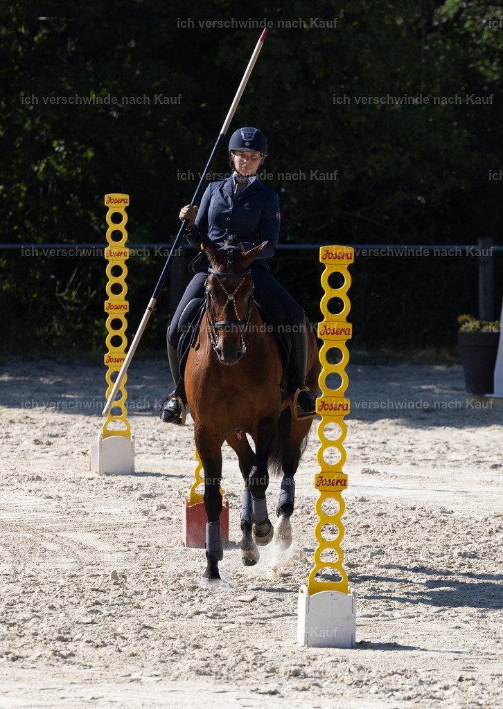 WS_StilTail_46_KerstinBernhardt-4 | working equitationturnier fotograf videograf stoibphotography marixx film working equitation deutschland reitsport turnierfotografie eventfotografie equestrian events