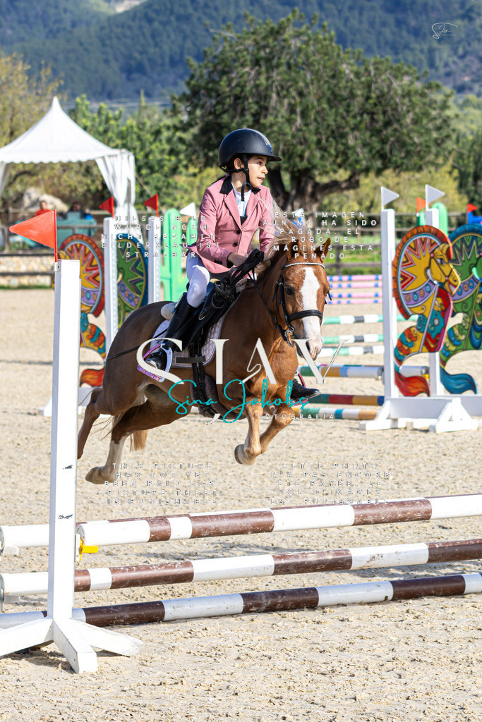 IMG_0472 | s-jay-photography - Realisiert mit Pictrs.com