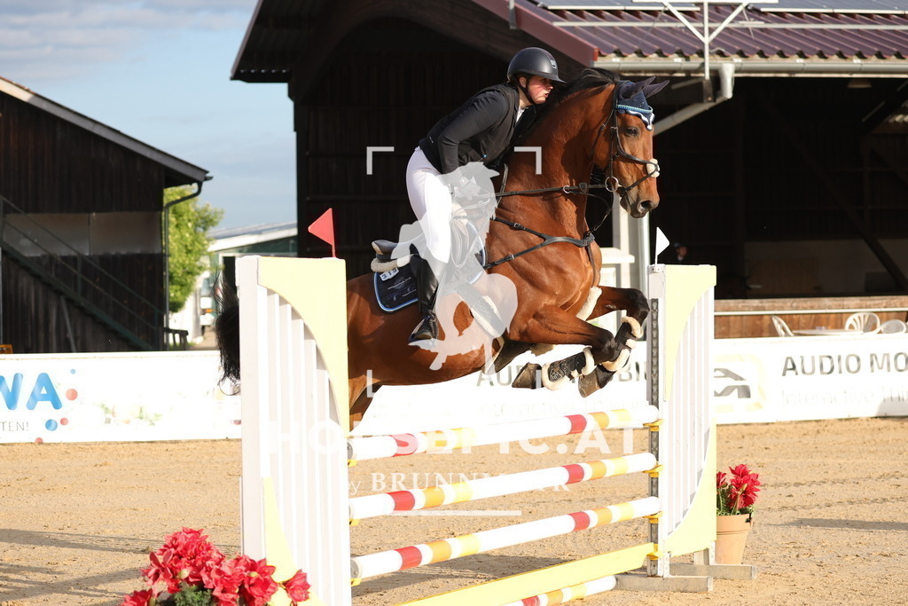 0P6A5573 | Willkommen bei Brunnmayr - Design & Fotografie – Ihrem Spezialisten für Reitturniere und Pferdeveranstaltungen in Oberösterreich, Salzburg und Bayern! Seit über 17 Jahren sind wir leidenschaftlich dabei.