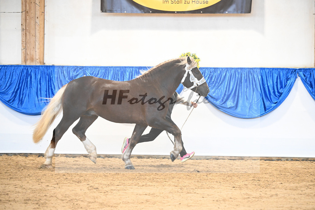 Kat-Nr. 48 nn v. Valegro_Glonecker-Edmueller_39251242 | hf-fotografie - Realizzato con Pictrs.com