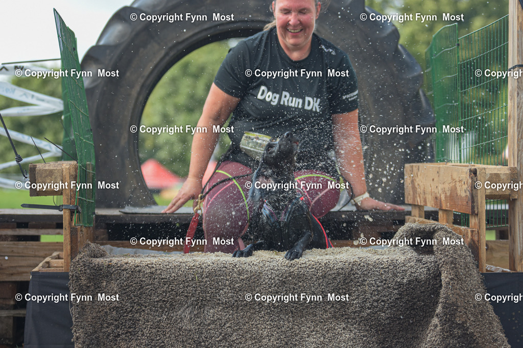 DSC_0950 | Hallo und herzlich Willkommen auf meiner Shop-Seite Fynn Most.

Ich wünsche Dir viel Spaß beim stöbern durch die Bilder, wenn Du Fragen hast oder Bilder vermisst, kannst du mir gerne eine Nachricht schreiben. - Realisiert mit Pictrs.com