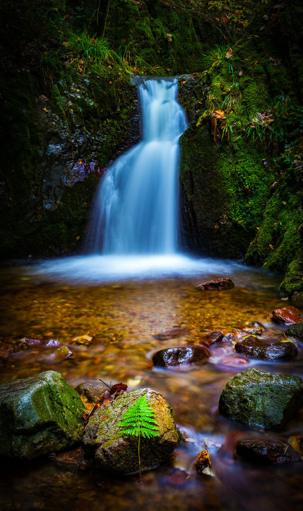 DSC03300-Edit@0_75x | fotografie33