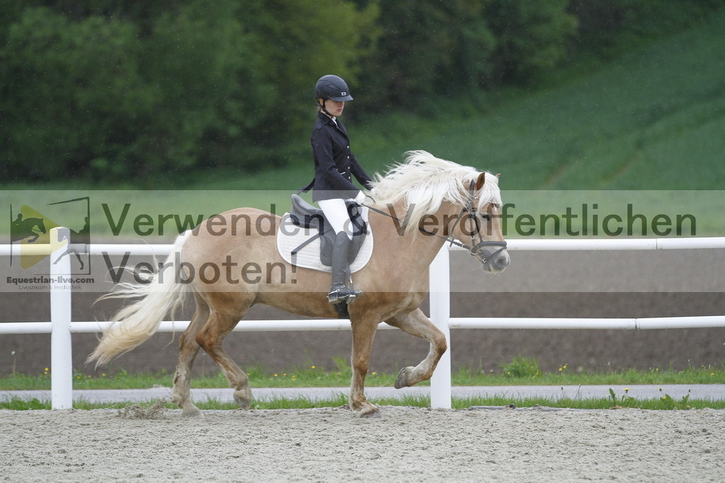 _MG_0974 | equestrian-live-com