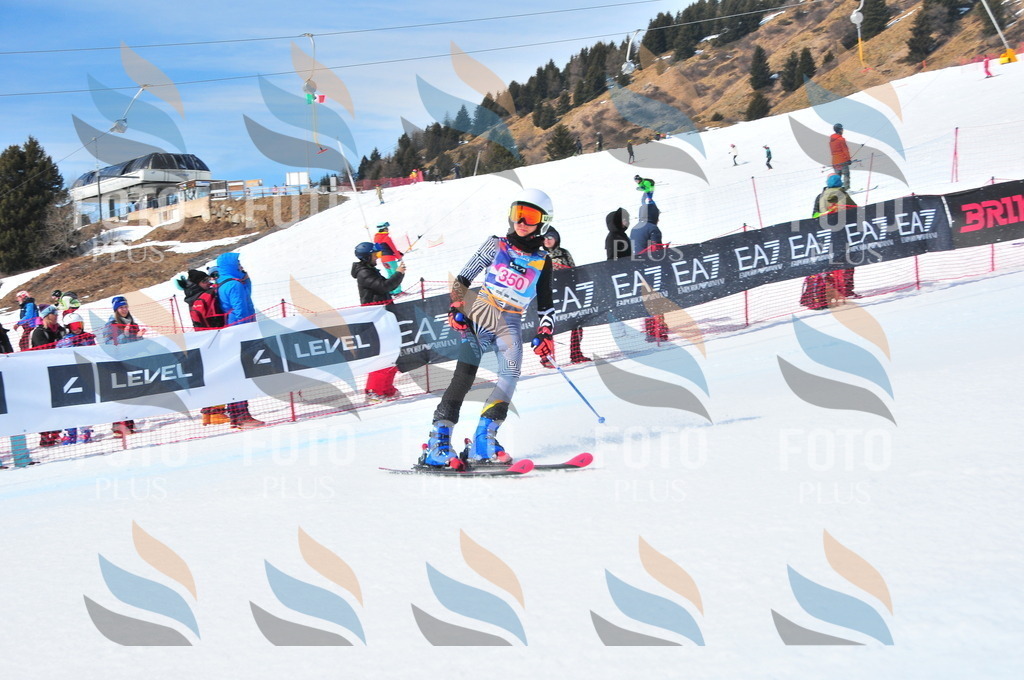 DSC_6966 | holidayphoto