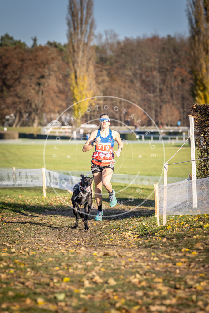 CaniXpix_DV3A1798 | Hundefotografie, Tierfotograf, Pfotenfotografie, Fotoshooting Hund, Hunde Portrait, Hundesport, Hundeportraits, Heideshooting, Hunde, Sportfotograf, Hundefotograf, Turnierhundsport, THS,  - Realisiert mit Pictrs.com