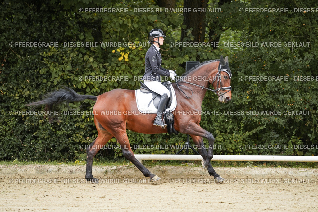 DSC08950 | Pferdegrafie