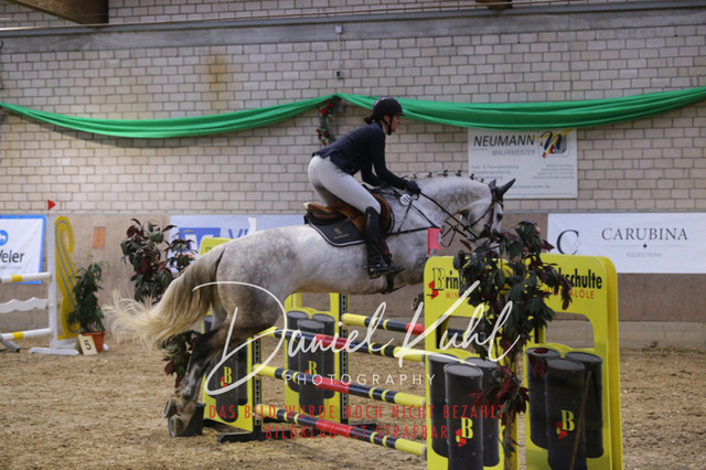 IMG_0843 | Turniersportfotografie; Pferdefotografie; Dressurfotografie