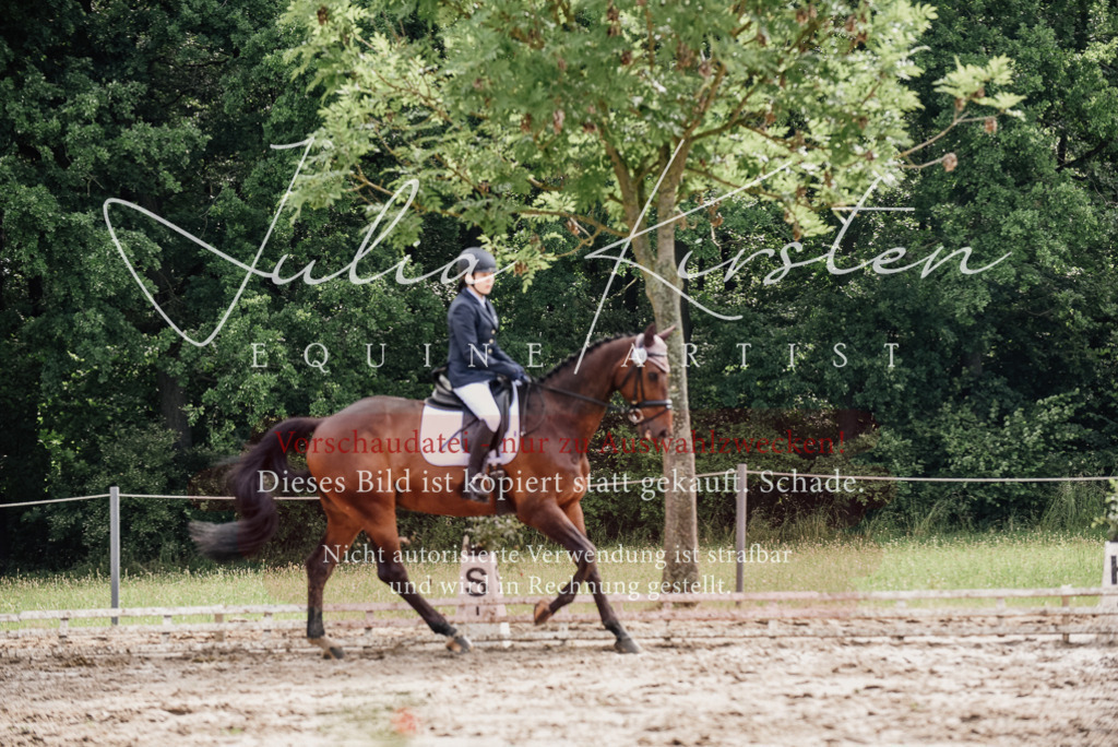 DSC_9631 | Pferde- und Turnierfotografie in Westsachsen. Pferdeportraits, Auftragszeichnungen und intuitive Kunst.