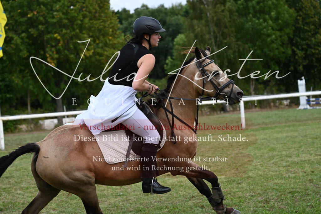 DSC_9189 | Pferde- und Turnierfotografie in Westsachsen. Pferdeportraits, Auftragszeichnungen und intuitive Kunst.
