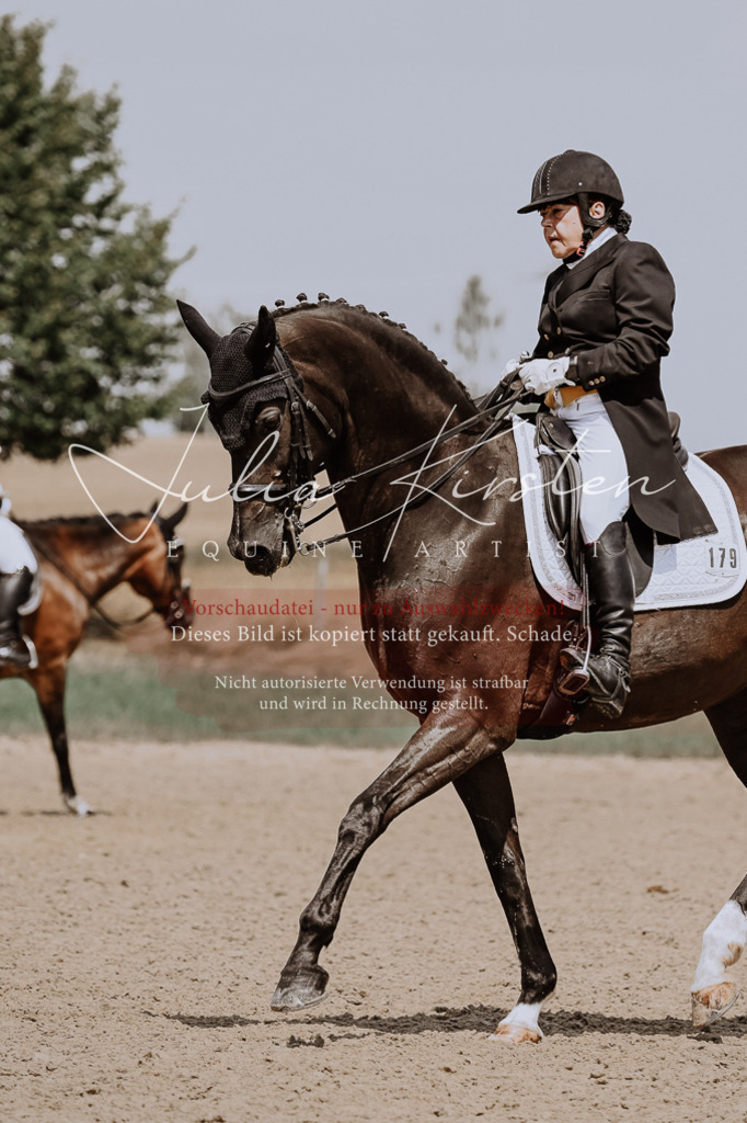 DSC_2724 | Pferde- und Turnierfotografie in Westsachsen. Pferdeportraits, Auftragszeichnungen und intuitive Kunst.