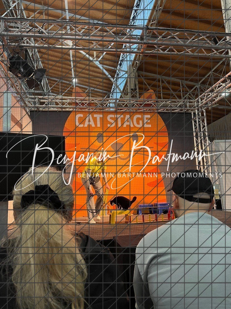 IMG_1595 | Benjamin Bartmann Photomoments