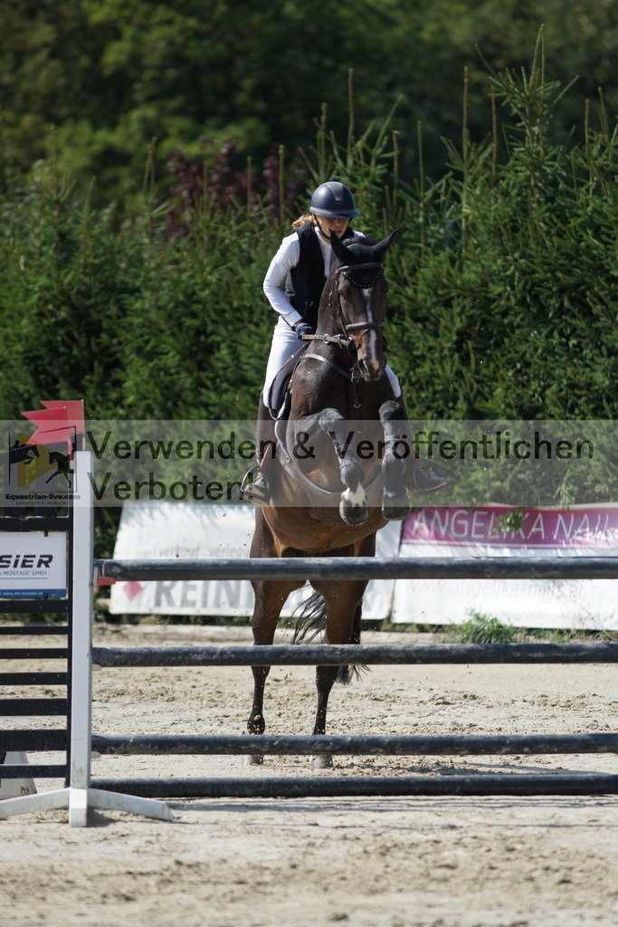 DSC01564 | equestrian-live-com