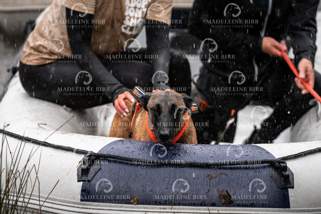 madeleinebirr-fotografie2025.campcanis.11-12Uhr-288 | hundefotografie-birr