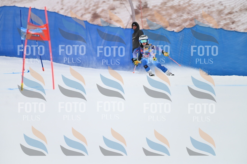 BGV_2557 | holidayphoto