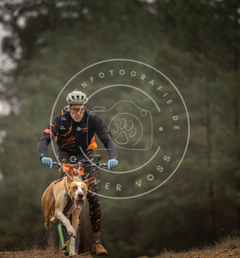 Pfotenfotografie_DV3A4200 | Hundefotografie, Tierfotograf, Pfotenfotografie, Fotoshooting Hund, Hunde Portrait, Hundesport, Hundeportraits, Heideshooting, Hunde, Sportfotograf, Hundefotograf, Turnierhundsport, THS,  - Realisiert mit Pictrs.com