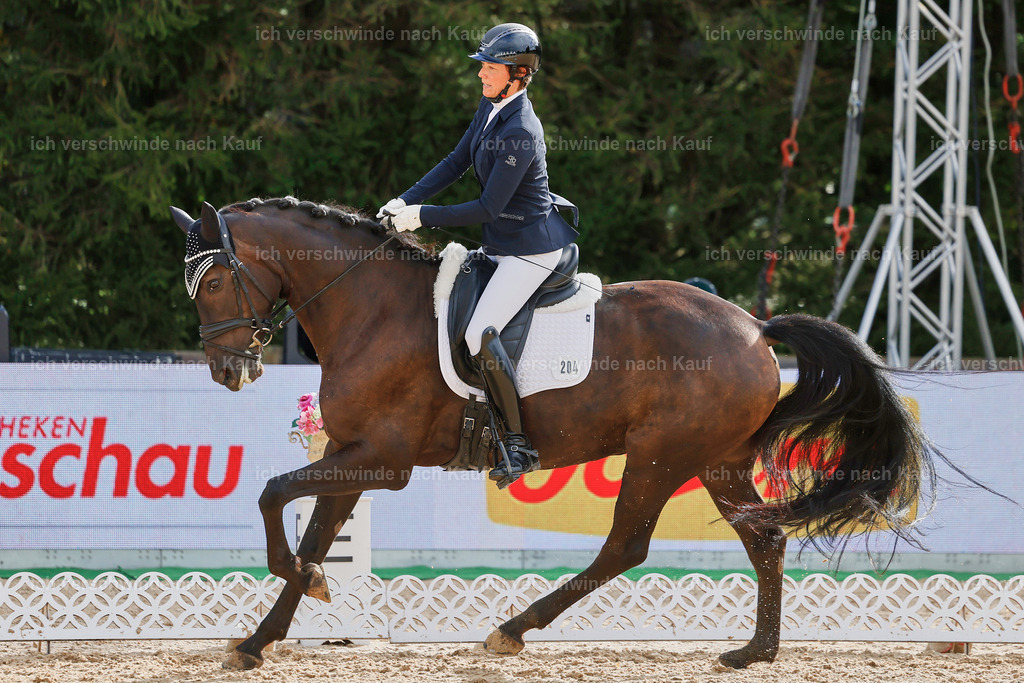 02-204-DRESSUR L_  -StoibPH-4797 | working equitationturnier fotograf videograf stoibphotography marixx film working equitation deutschland reitsport turnierfotografie eventfotografie equestrian events