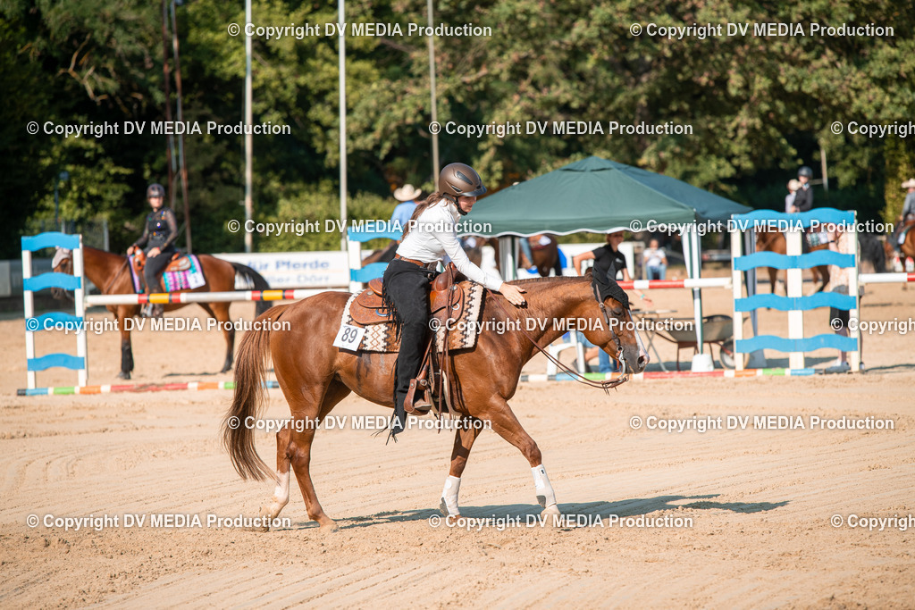 ZS2_8850 | dv-media-shop - Realisiert mit Pictrs.com