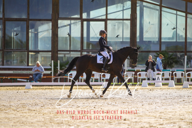 DKP43862 | Turniersportfotografie; Pferdefotografie; Dressurfotografie