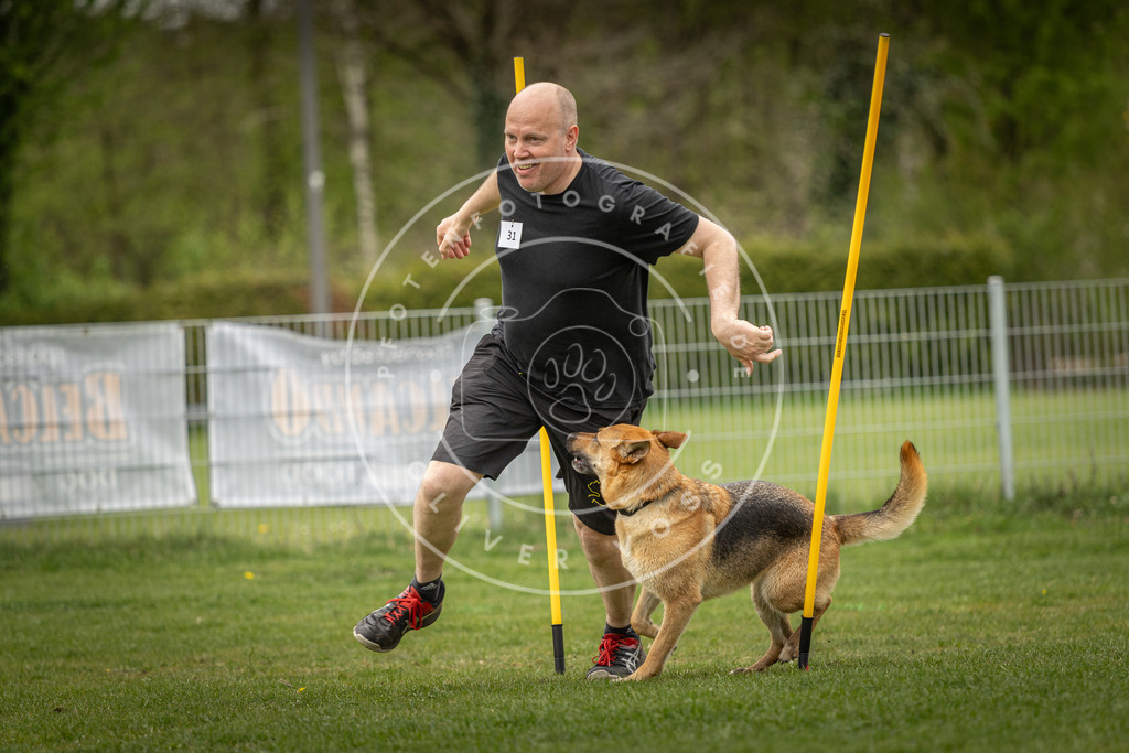 Pfotenfotografie_DV3A2216 | Hundefotografie, Tierfotograf, Pfotenfotografie, Fotoshooting Hund, Hunde Portrait, Hundesport, Hundeportraits, Heideshooting, Hunde, Sportfotograf, Hundefotograf, Turnierhundsport, THS,  - Realisiert mit Pictrs.com