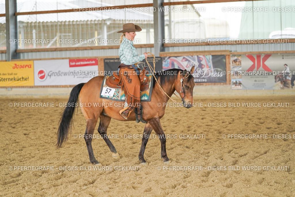 DSC04083 | Pferdegrafie