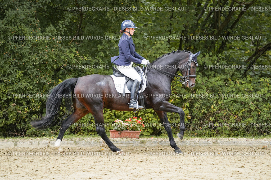 DSC06233 | Pferdegrafie