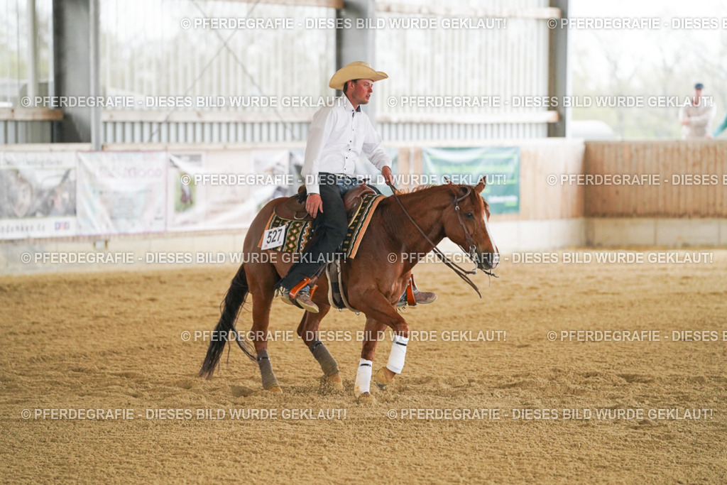 DSC07589 | Pferdegrafie