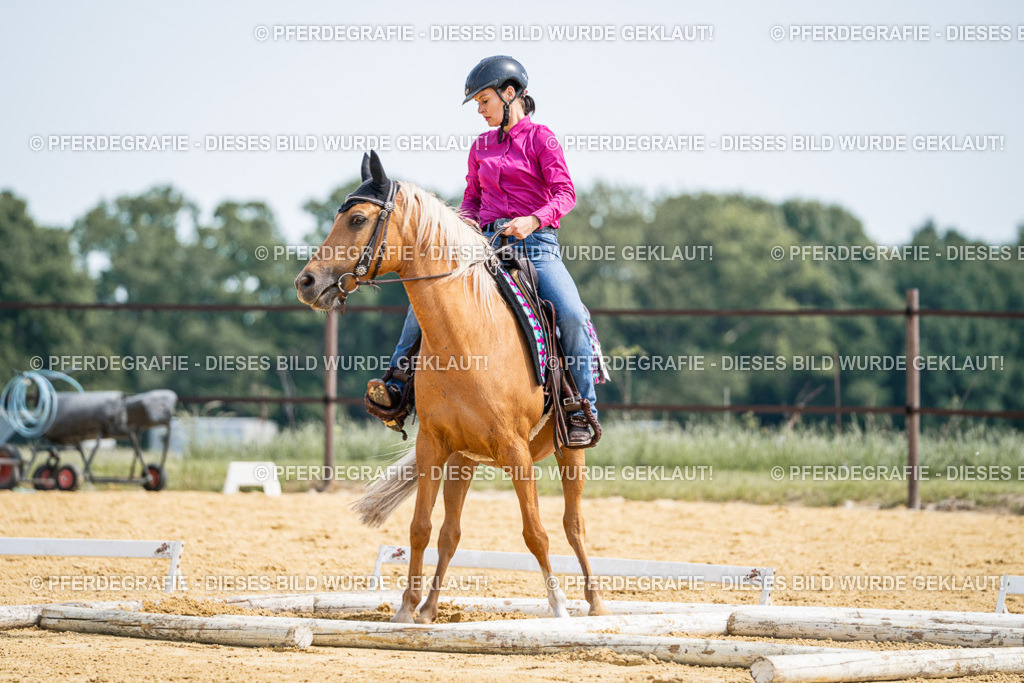 DSC00300 | Pferdegrafie