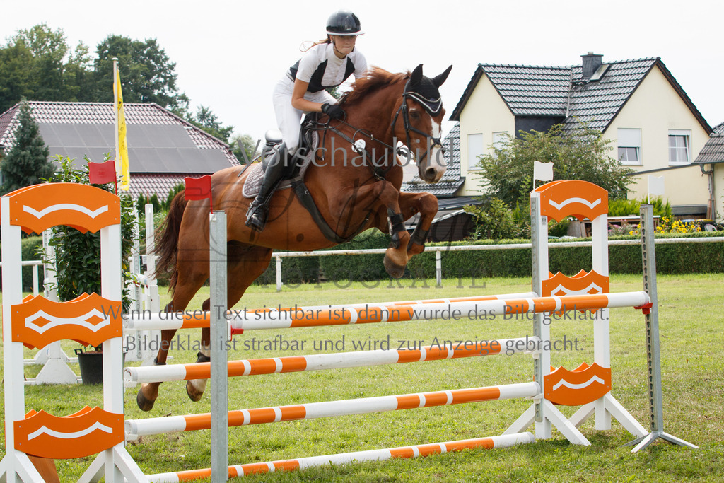 IMG_3177 | P. Berger Fotografie - Realisiert mit Pictrs.com