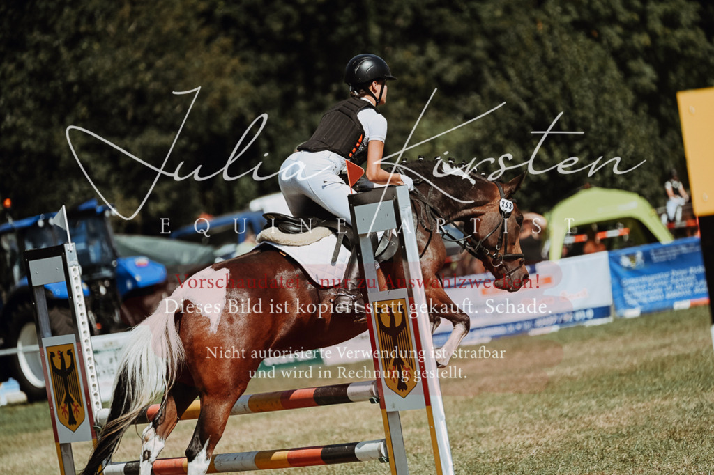 DSC_9898 | Pferde- und Turnierfotografie in Westsachsen. Pferdeportraits, Auftragszeichnungen und intuitive Kunst.