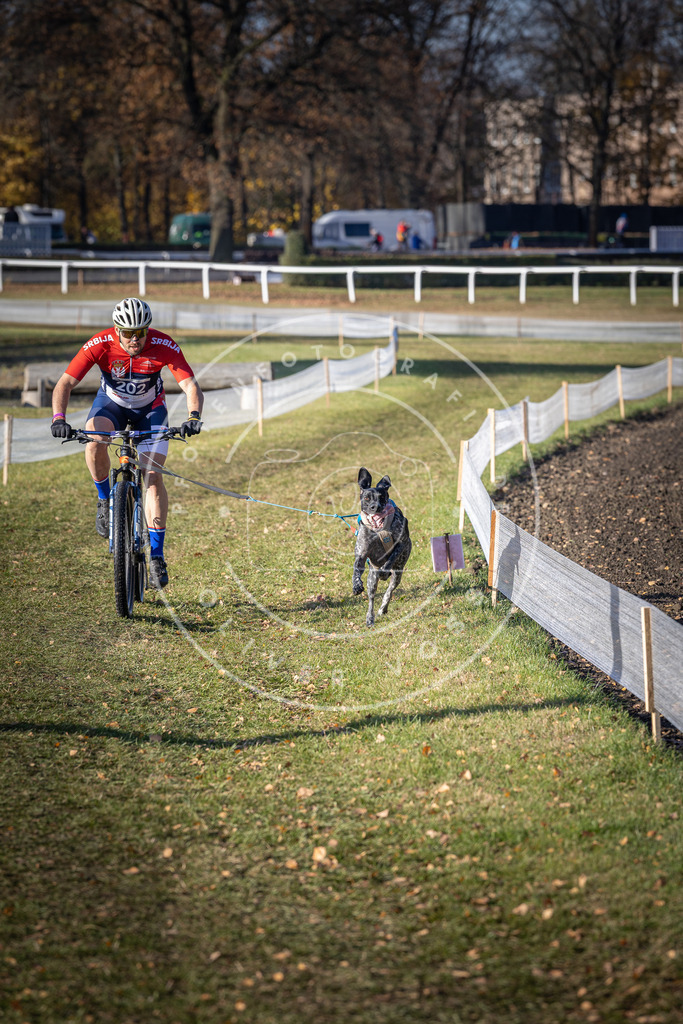 CaniXpix_DV3A2785 | Hundefotografie, Tierfotograf, Pfotenfotografie, Fotoshooting Hund, Hunde Portrait, Hundesport, Hundeportraits, Heideshooting, Hunde, Sportfotograf, Hundefotograf, Turnierhundsport, THS,  - Realisiert mit Pictrs.com