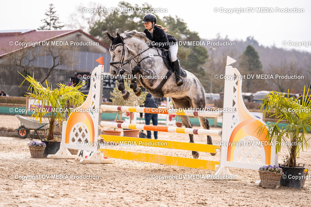 Kranichstein Tag 2-387 | dv-media-shop - Realisiert mit Pictrs.com