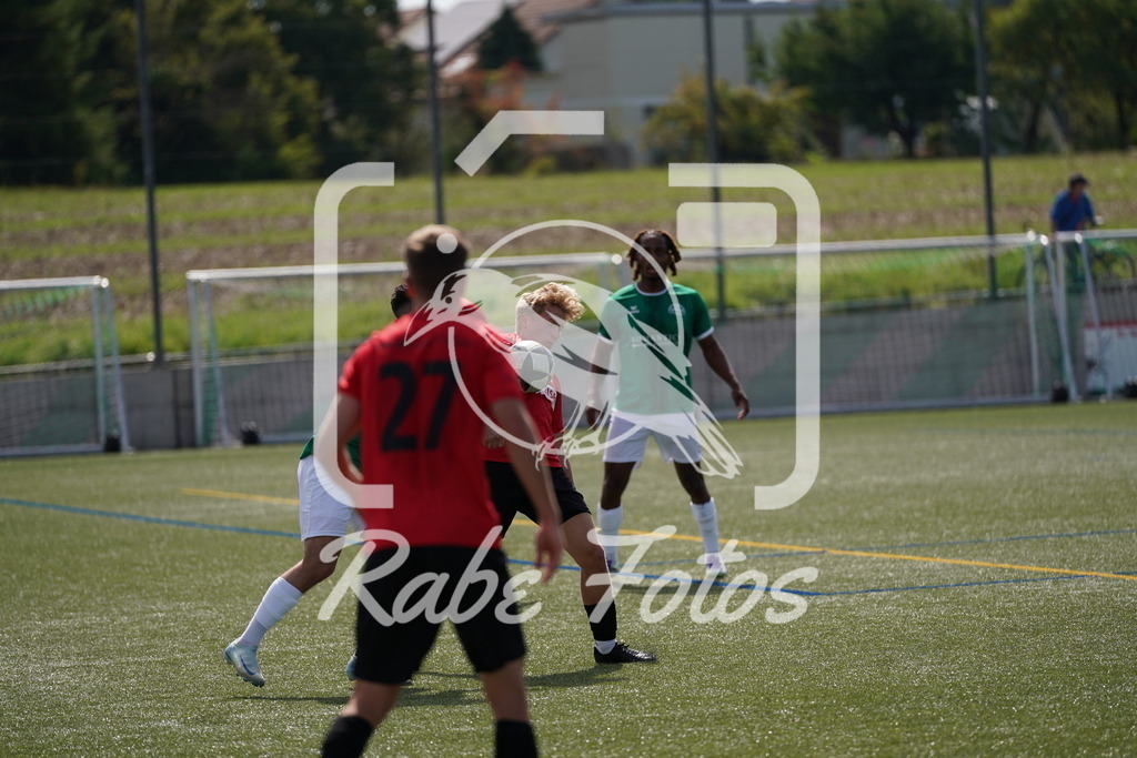 DSC08934 | rabefotos