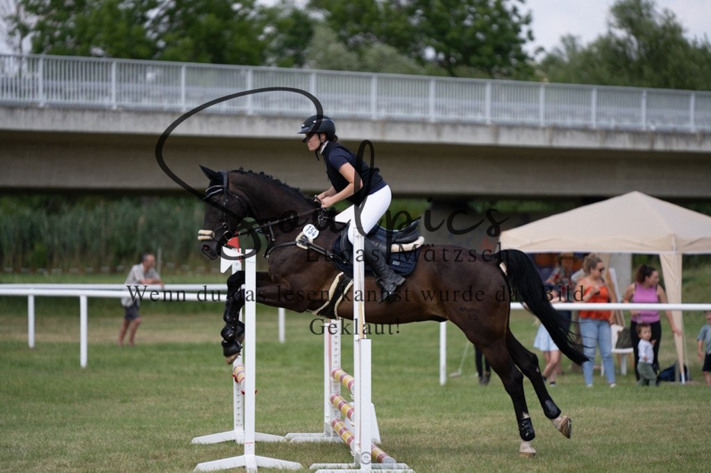 A7V00138 | Pferdefotograf