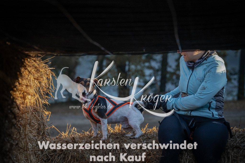 0911_ZZ91840 | kk-dogfotos
