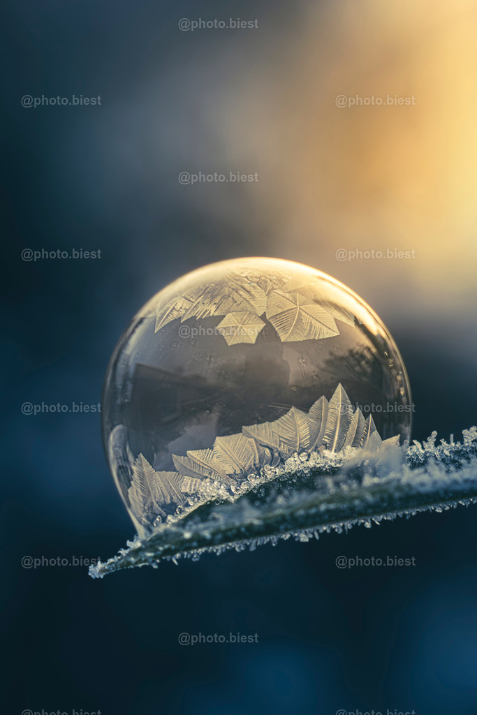 Von der Sonne geküsst | Eine gefrierende Seifenblase im Sonnenlicht. - Realisiert mit Pictrs.com