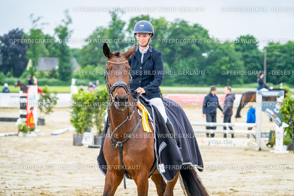 DSC02788 | Pferdegrafie